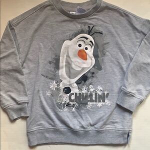 Disney Parks sweatshirt 